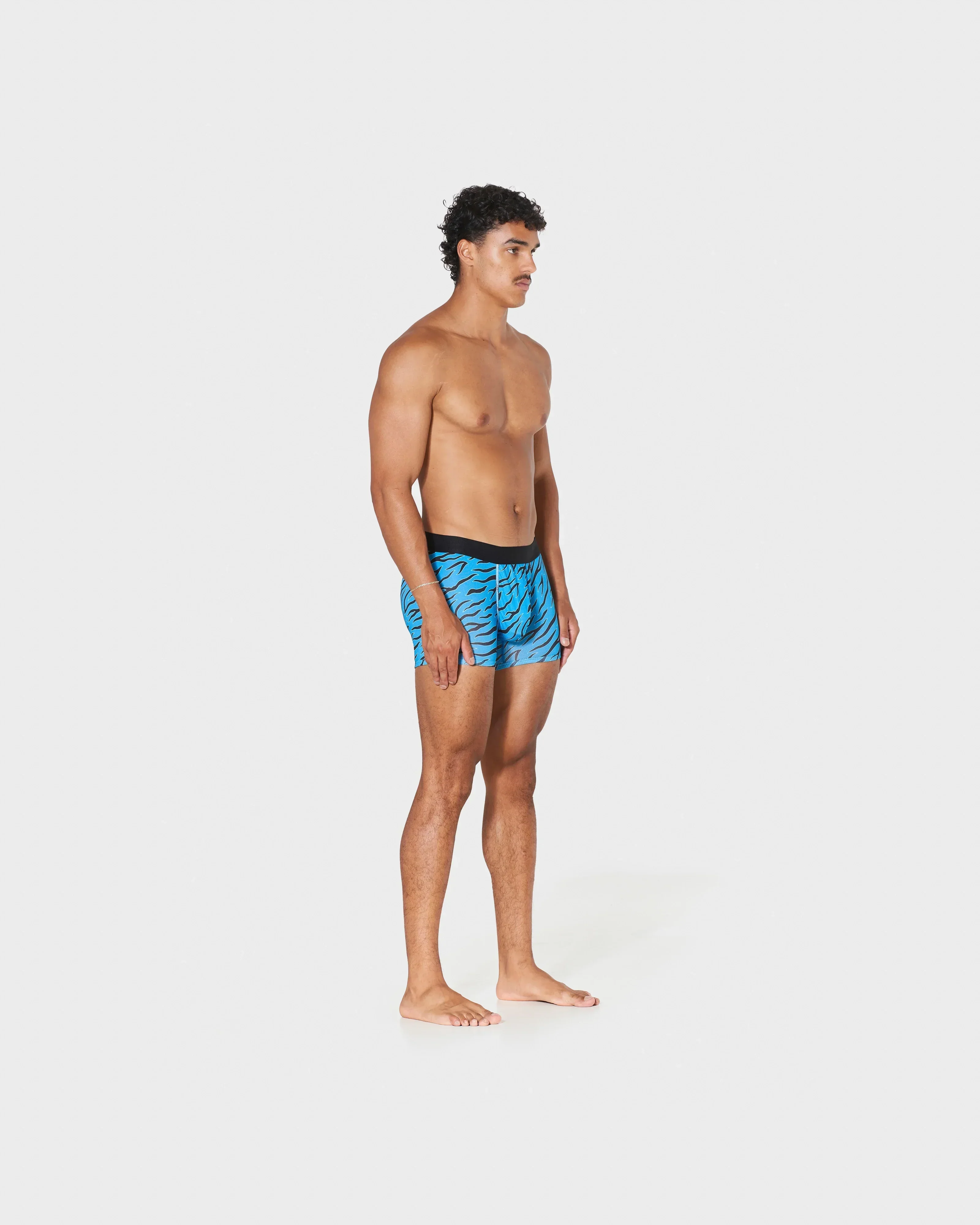 AQUA TIGER (LONG) - Image 3