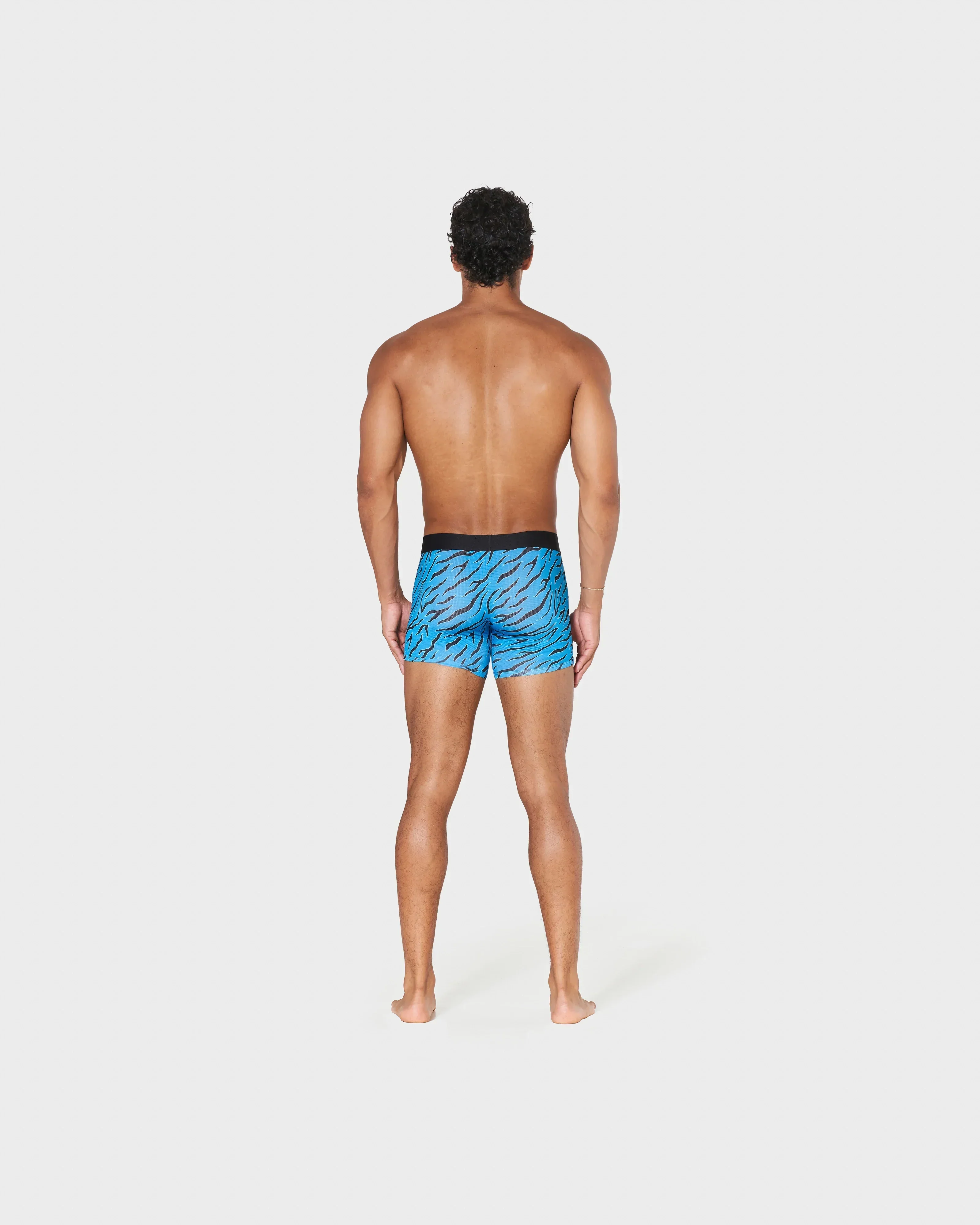 AQUA TIGER (LONG) - Image 4